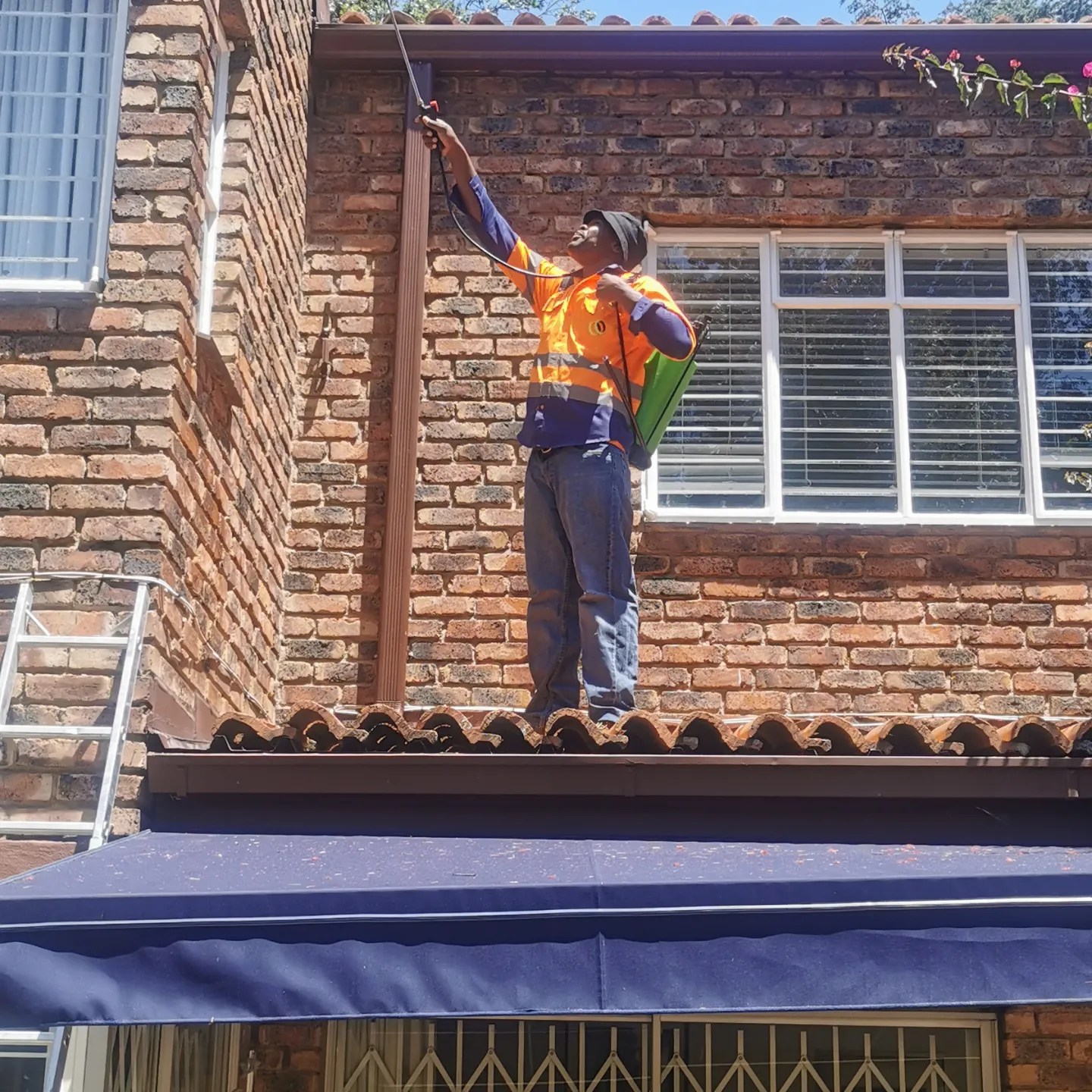 Termite Treatment Services